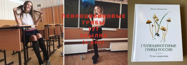 спайс Лагань
