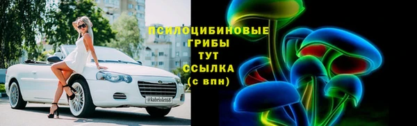 спайс Лагань