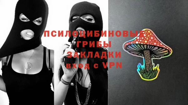 spice Ладушкин